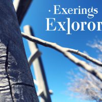 Exploring the World: Free & Fun Entertainment Ideas for Everyone