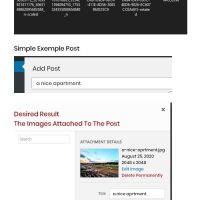 Embrace Simplicity: Find Joy in Authentic Living Beyond Trends and Comparisons